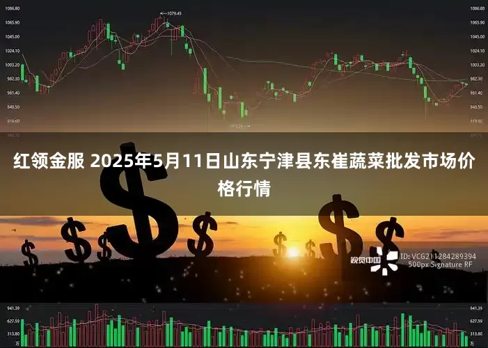 红领金服 2025年5月11日山东宁津县东崔蔬菜批发市场价格行情