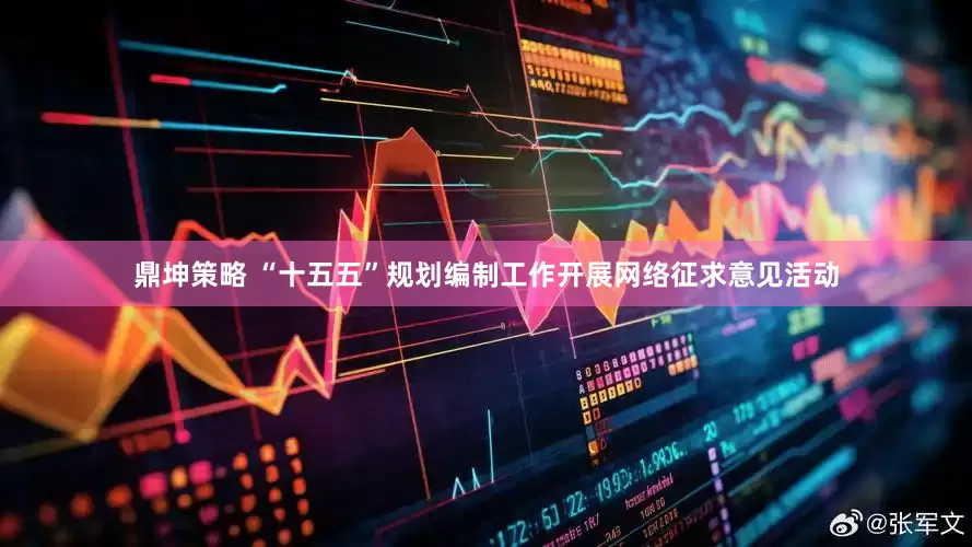 鼎坤策略 “十五五”规划编制工作开展网络征求意见活动