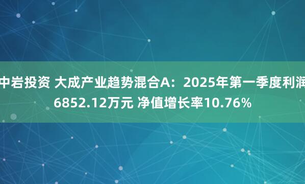 中岩投资 大成产业趋势混合A：2025年第一季度利润6852.12万元 净值增长率10.76%